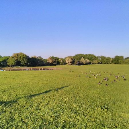 فندق Castletownmoor Clinic & Permaculture Farm كيلز المظهر الخارجي الصورة