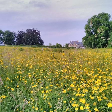 فندق Castletownmoor Clinic & Permaculture Farm كيلز المظهر الخارجي الصورة