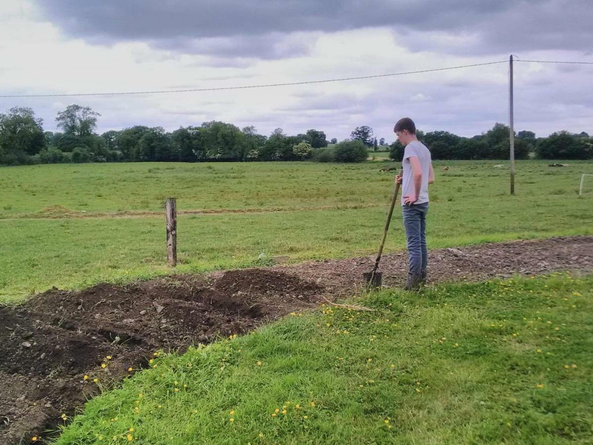فندق Castletownmoor Clinic & Permaculture Farm كيلز المظهر الخارجي الصورة