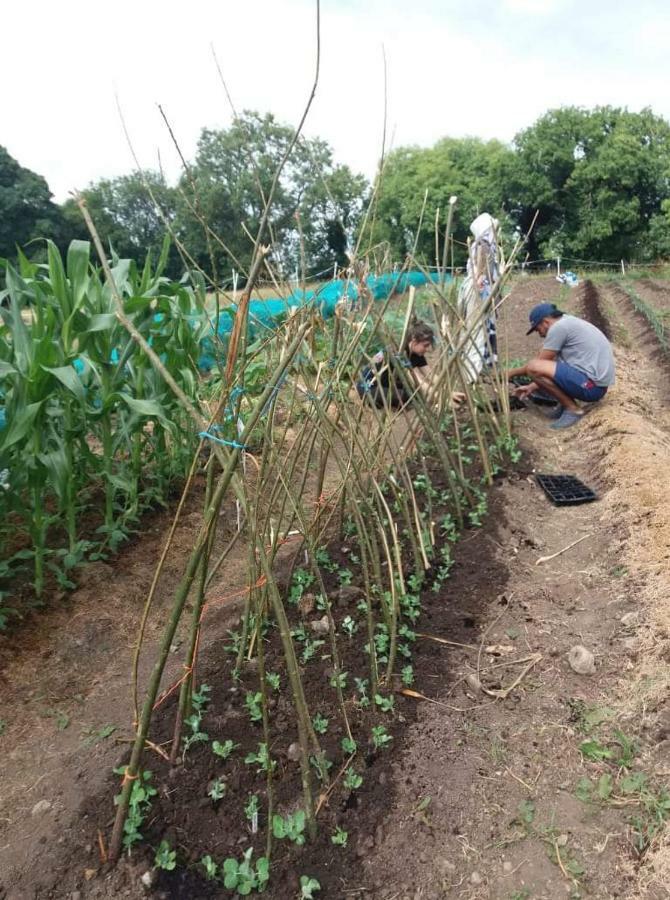 فندق Castletownmoor Clinic & Permaculture Farm كيلز المظهر الخارجي الصورة