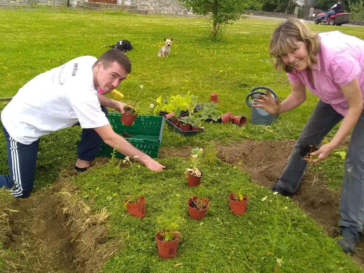 فندق Castletownmoor Clinic & Permaculture Farm كيلز المظهر الخارجي الصورة